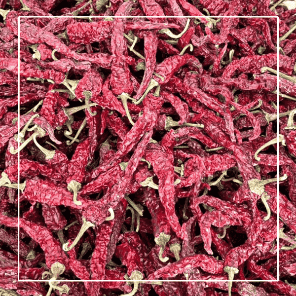 Byadgi dry red chilli by Al-Hyatt International – mild heat, rich aroma.