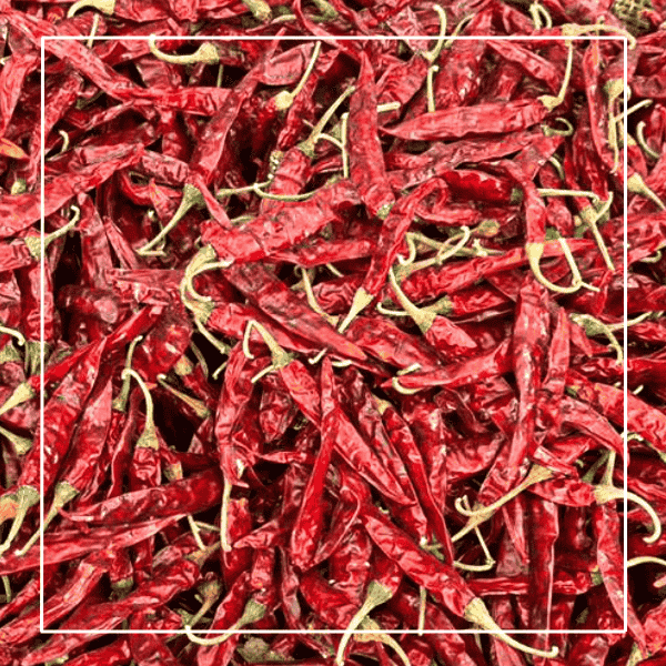 Guntur dry red chillies sourced by Al-Hyatt International – authentic Indian spice.