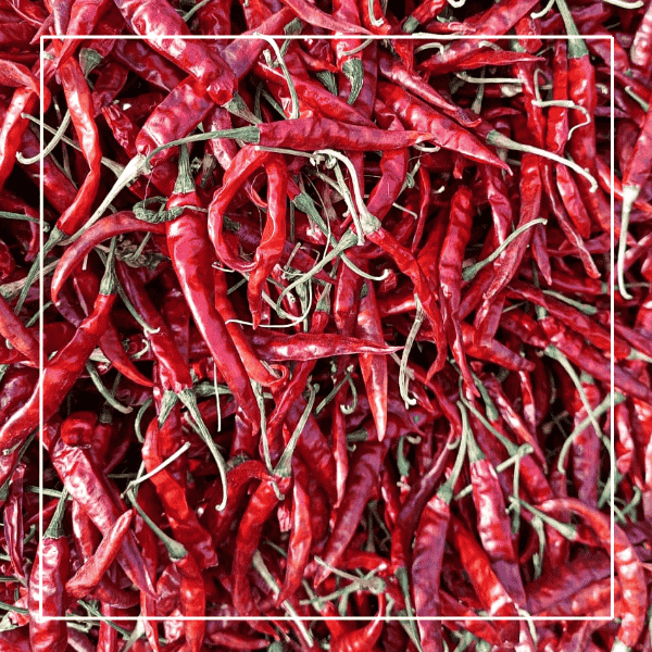 Premium Teja dry red chilli by Al-Hyatt International — fiery and flavor-packed.