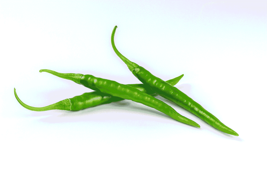 Fresh green chillies isolated on a white background, premium quality farm-fresh green chilli for export