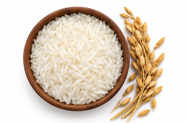 Basmati Rice_landscape